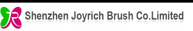 Shenzhen Joyrich Brush Co., Ltd